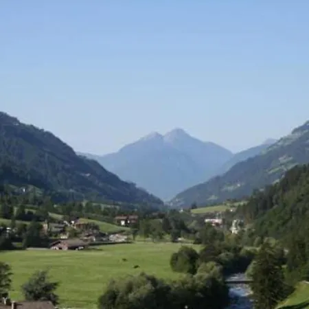 Pichler 1 *